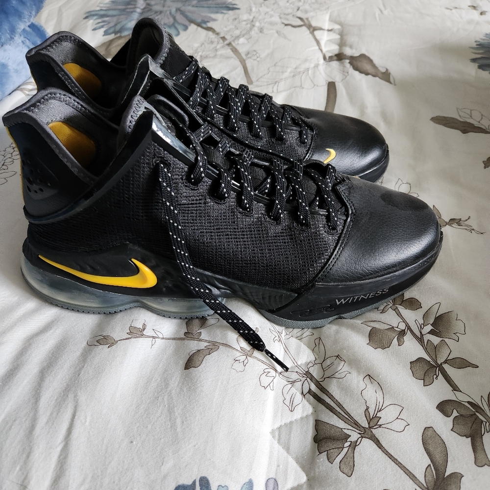 Nike lebron 19 low